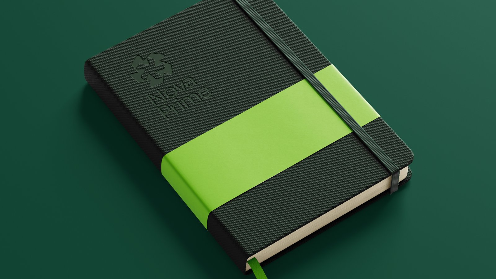 Nova Prime Group corporate governance and investment standards