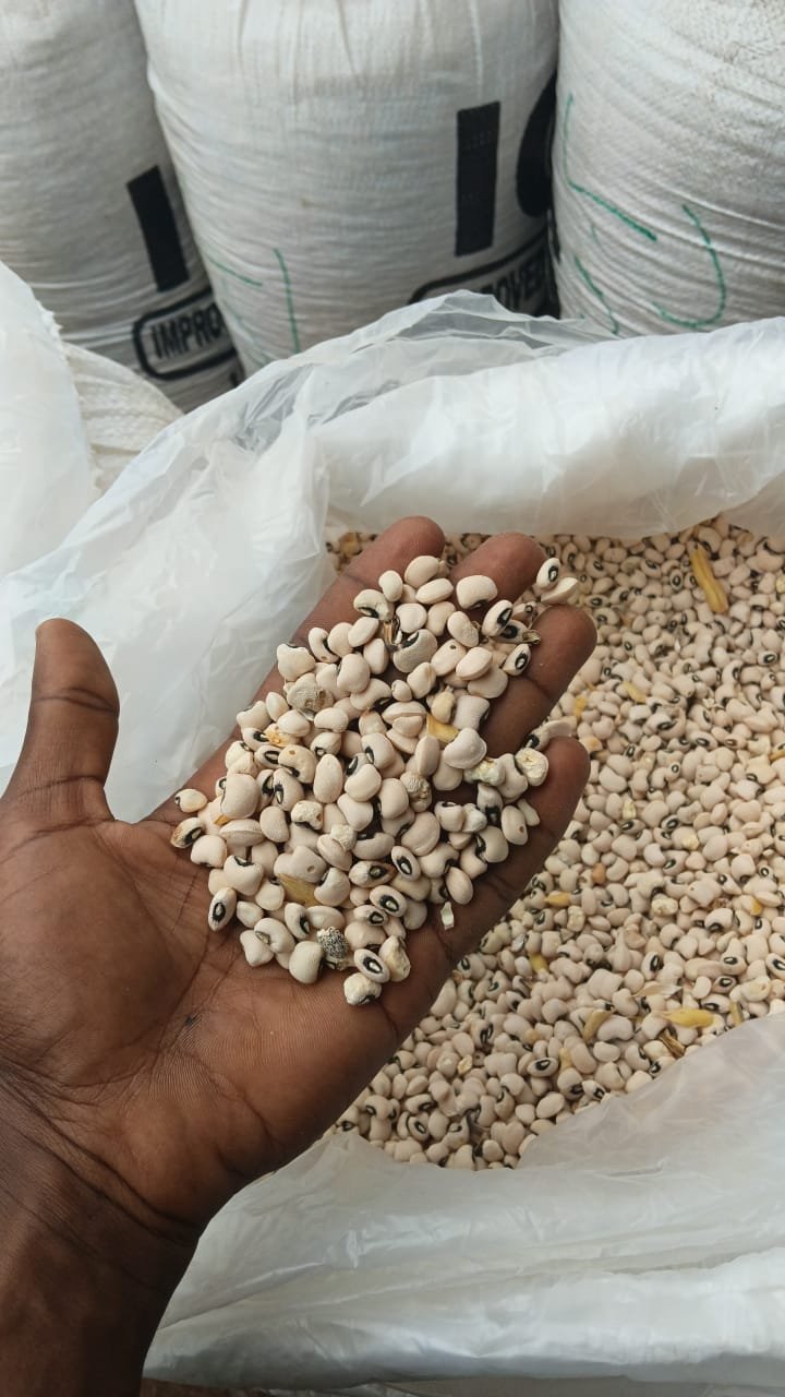 Beans held above a sack of produce