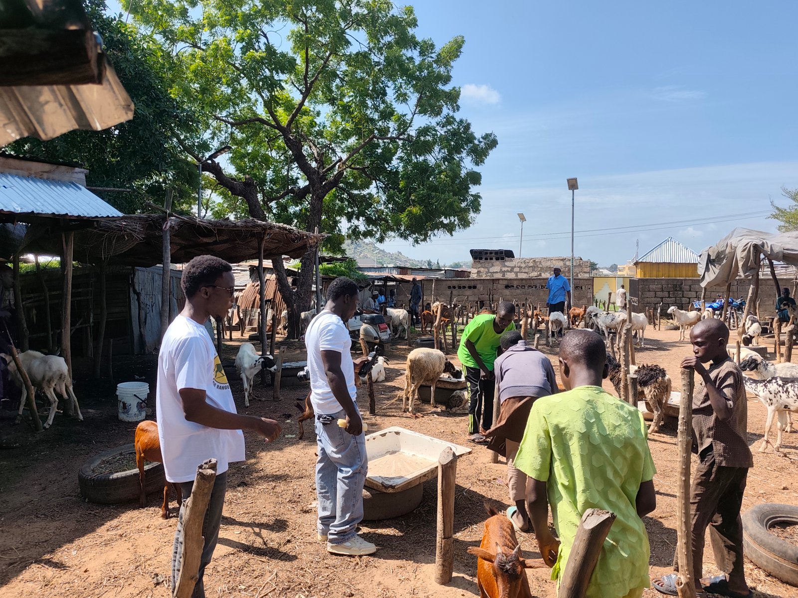 A field visit among livestock handlers and animals.